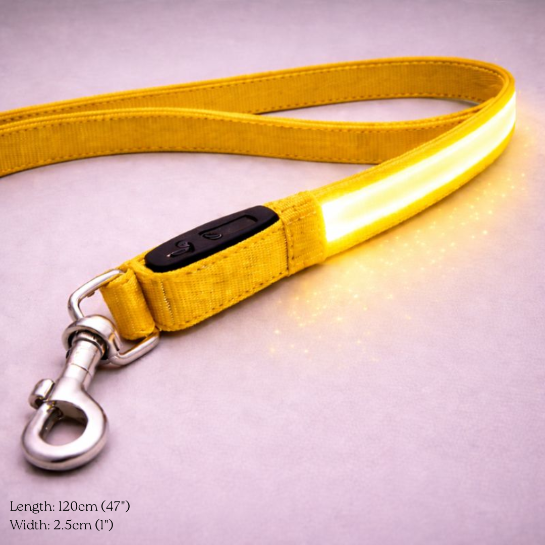 USB Rechargeable LED Light-Up Dog Leash