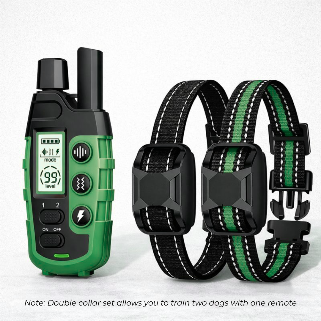 Waterproof Electric Dog Training Collar