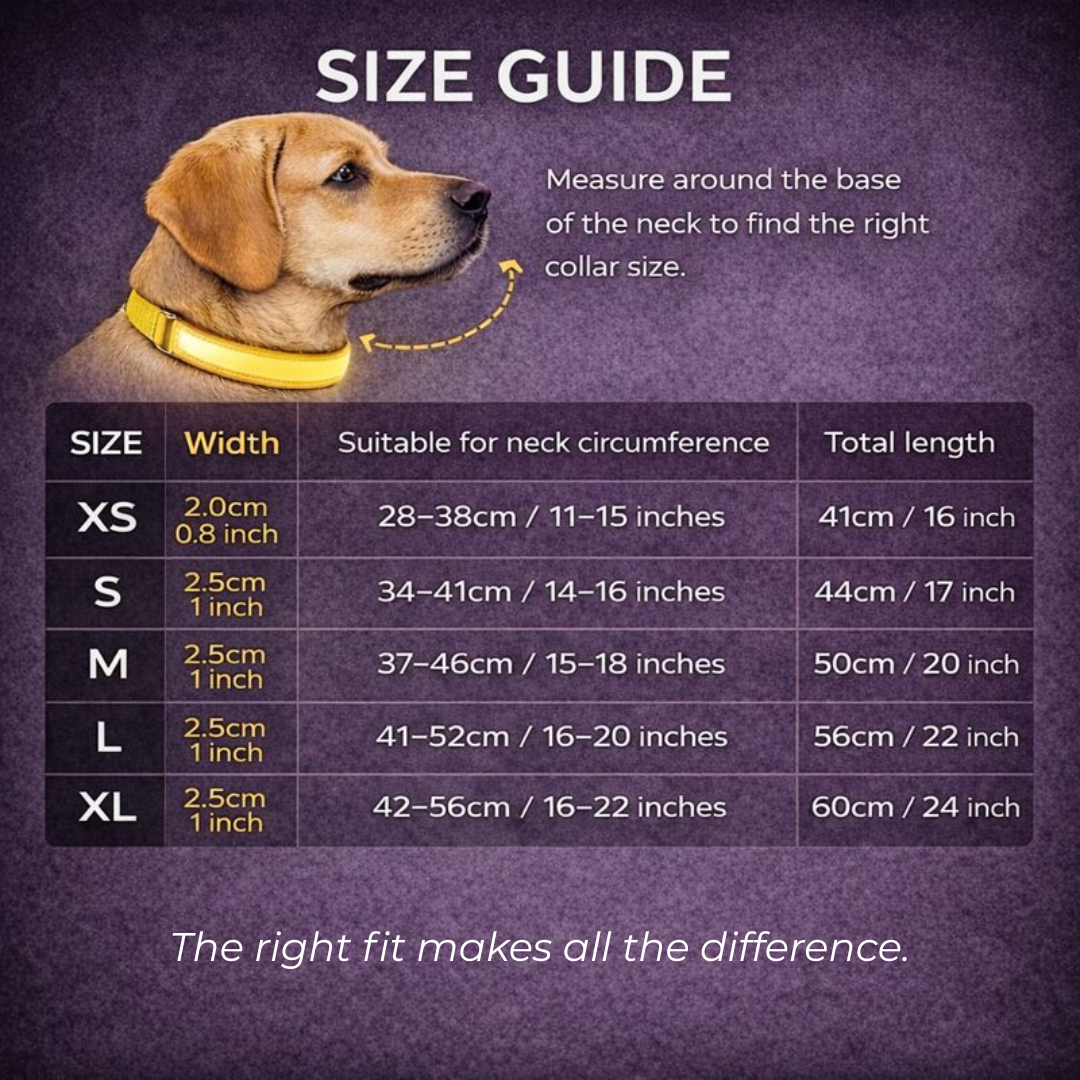 USB Rechargeable LED Light-Up Dog Collar