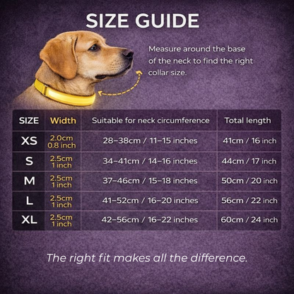 USB Rechargeable LED Light-Up Dog Collar