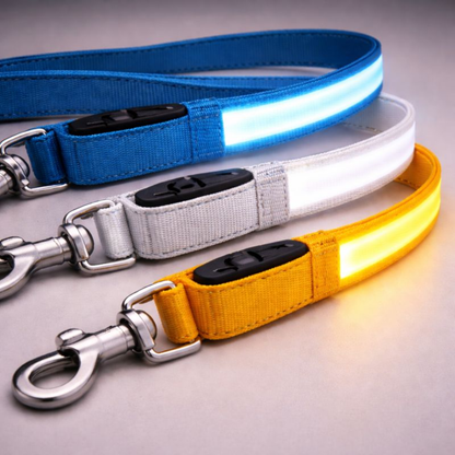 USB Rechargeable LED Light-Up Dog Leash