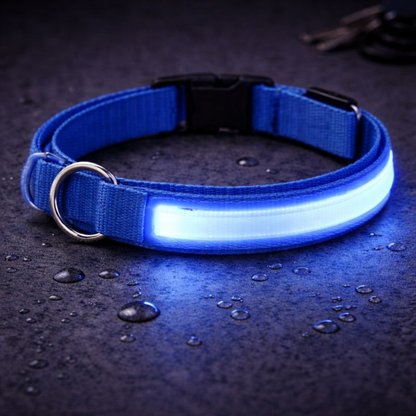 USB Rechargeable LED Light-Up Dog Collar