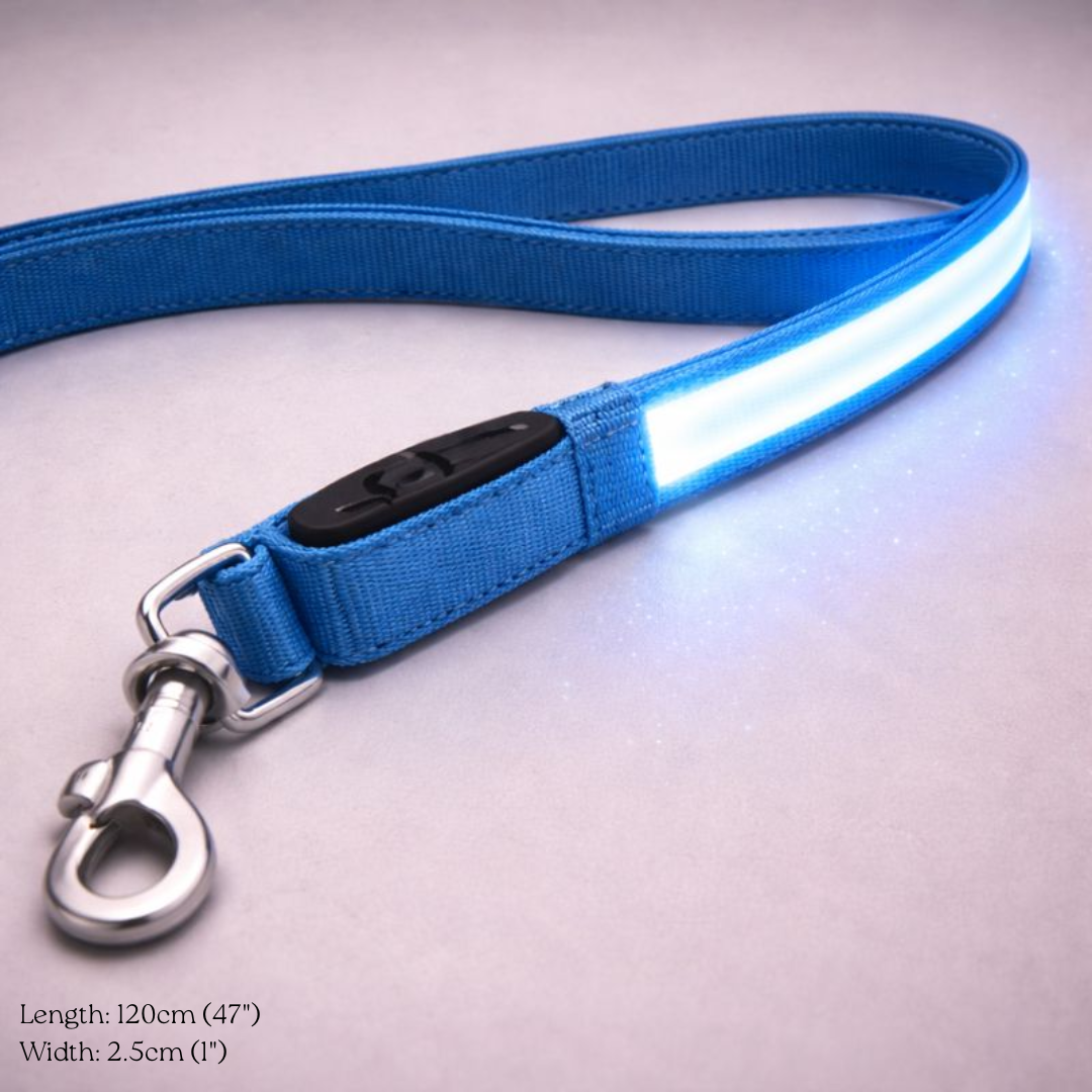 USB Rechargeable LED Light-Up Dog Leash
