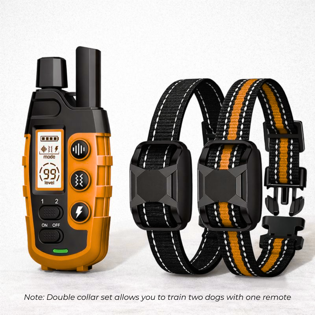 Waterproof Electric Dog Training Collar