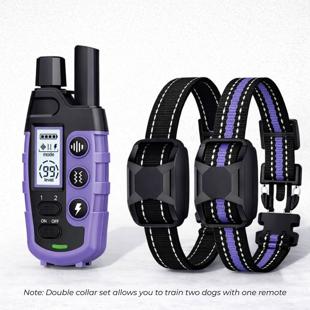 Waterproof Electric Dog Training Collar
