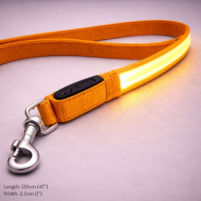 USB Rechargeable LED Light-Up Dog Leash