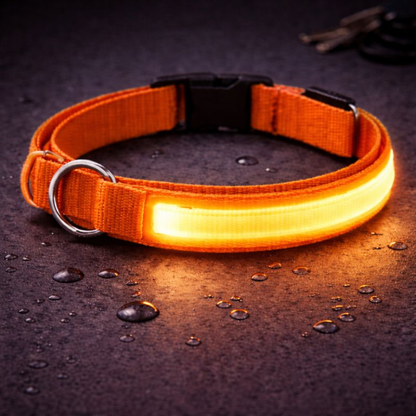 USB Rechargeable LED Light-Up Dog Collar
