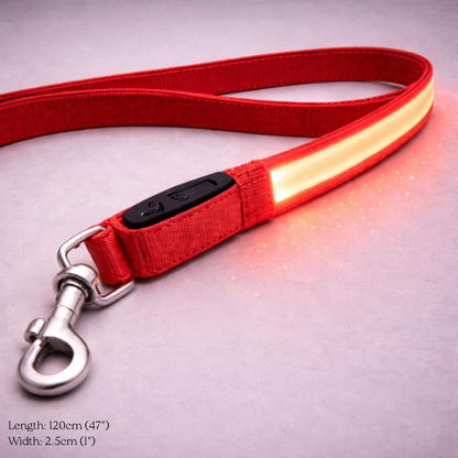 USB Rechargeable LED Light-Up Dog Leash