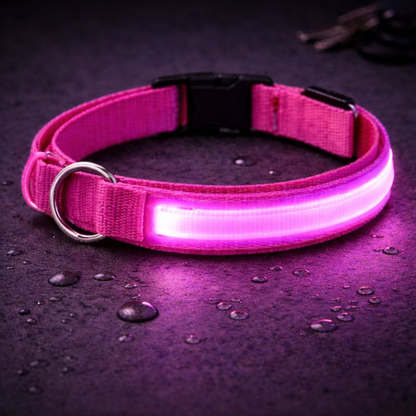 USB Rechargeable LED Light-Up Dog Collar