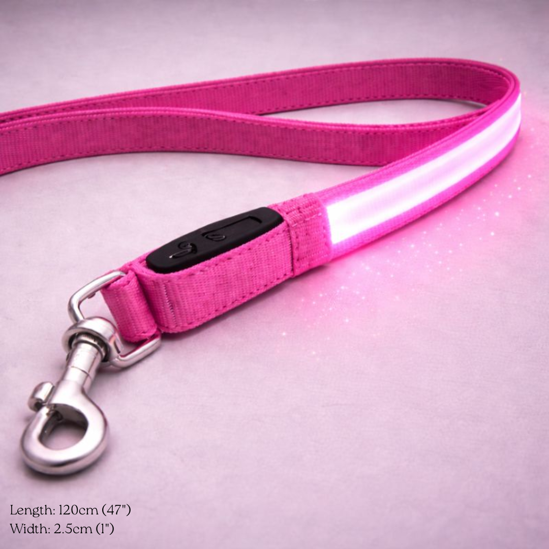 USB Rechargeable LED Light-Up Dog Leash