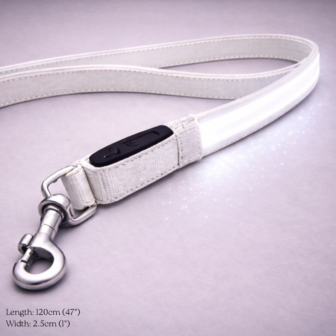 USB Rechargeable LED Light-Up Dog Leash
