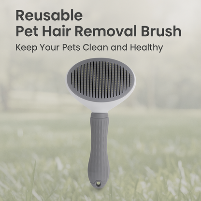 Reusable Pet Hair Removal Brush
