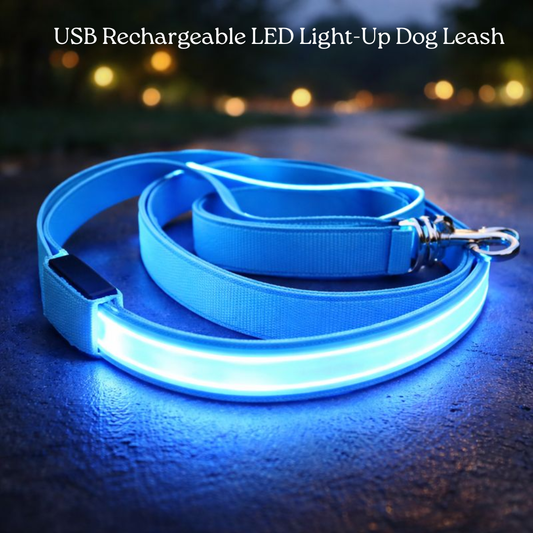 USB Rechargeable LED Light-Up Dog Leash