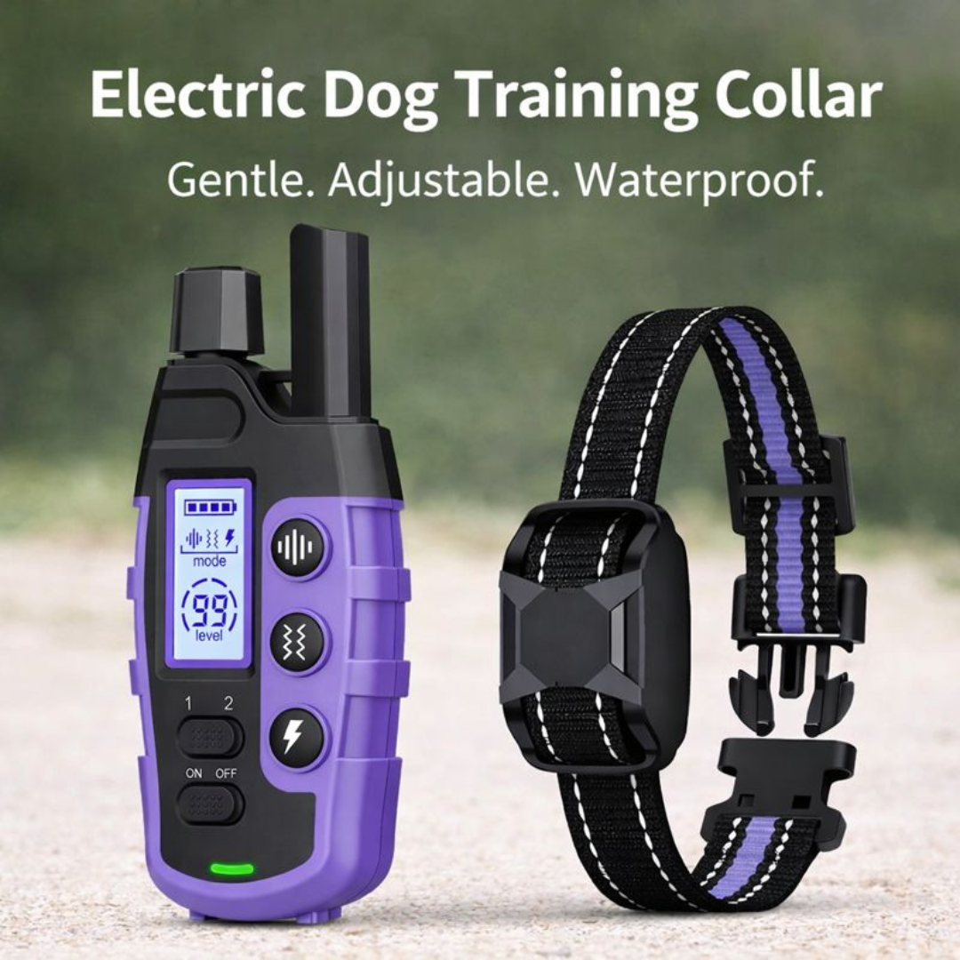 Waterproof Electric Dog Training Collar