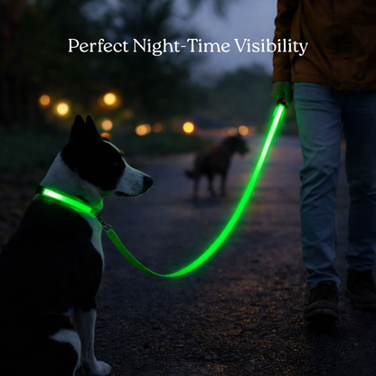 USB Rechargeable LED Light-Up Dog Leash