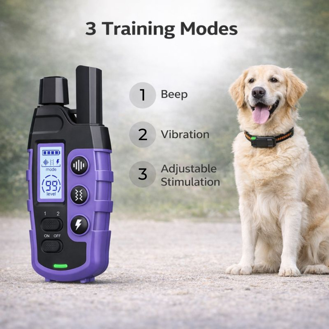 Waterproof Electric Dog Training Collar