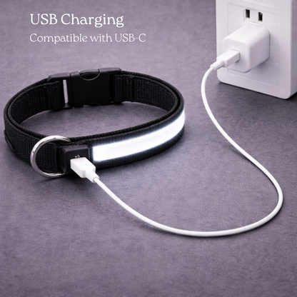 USB Rechargeable LED Light-Up Dog Collar