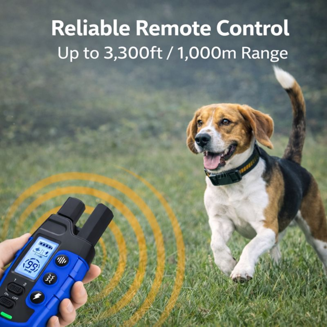 Waterproof Electric Dog Training Collar