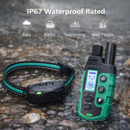 Waterproof Electric Dog Training Collar