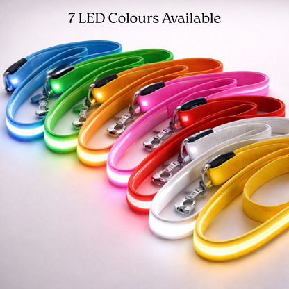 USB Rechargeable LED Light-Up Dog Leash
