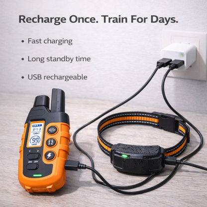 Waterproof Electric Dog Training Collar