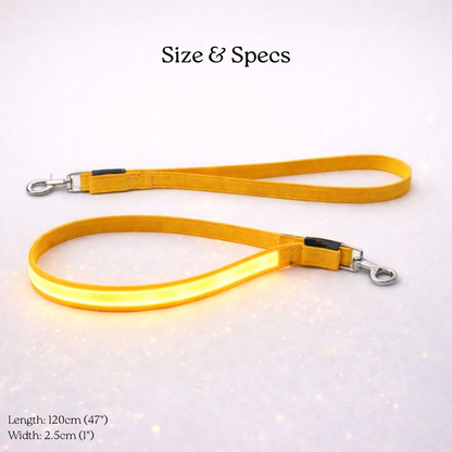 USB Rechargeable LED Light-Up Dog Leash