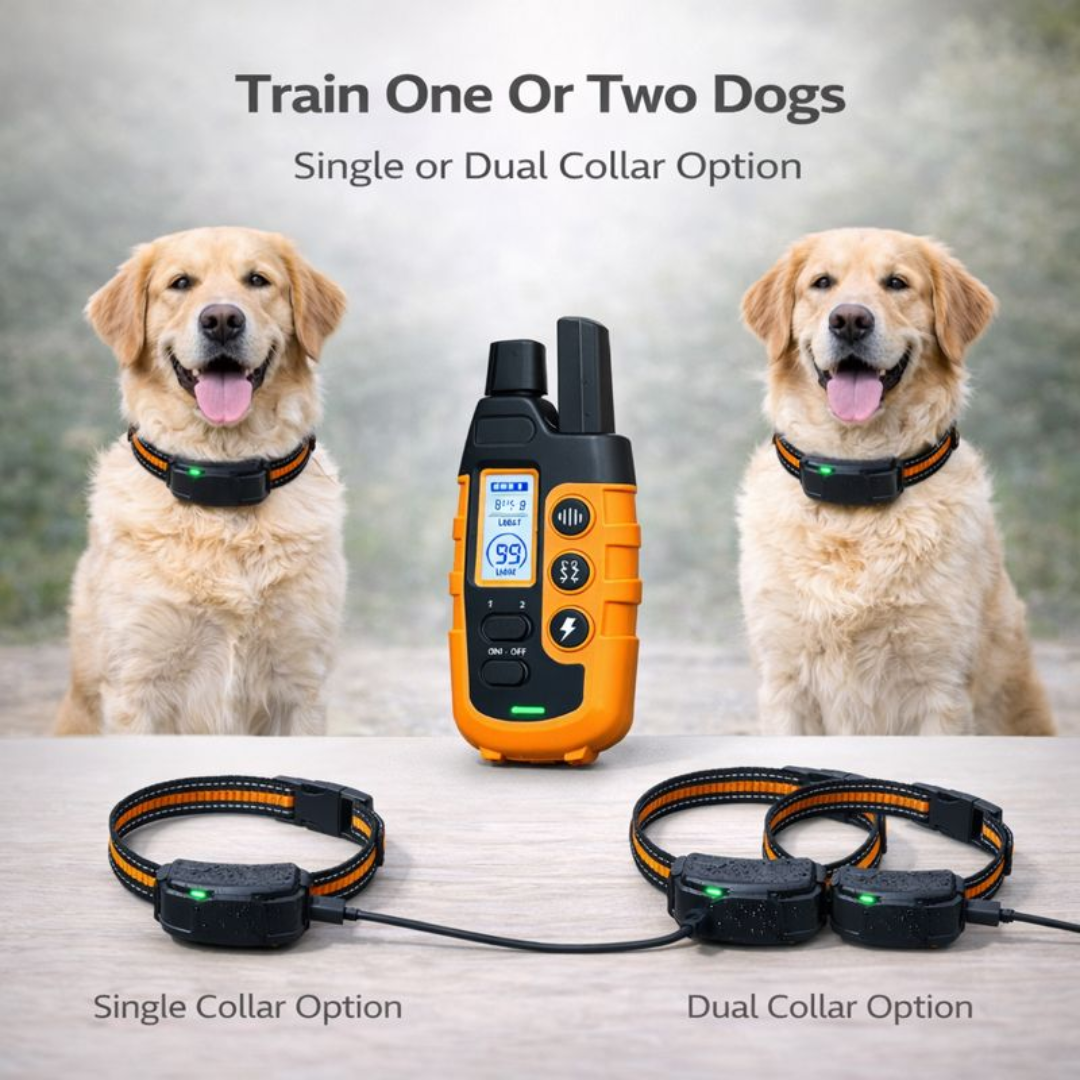 Waterproof Electric Dog Training Collar